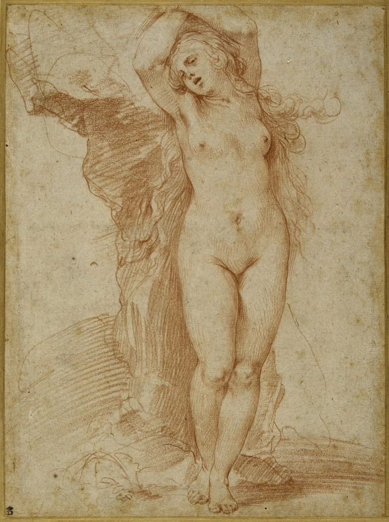 Andromeda incatenata alla roccia - The Devonshire Collections, Chatsworth